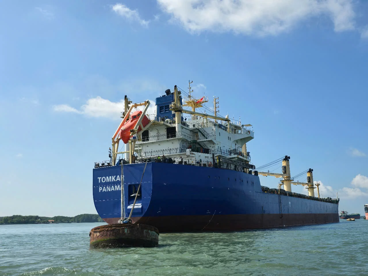 BLUE DOLPHIN specializes in handling bulk vessels